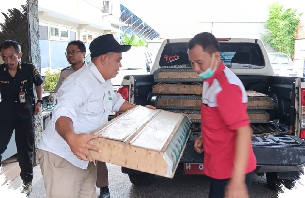 Ratusan Burung Dari Tanjung Perak Dilepasliarkan, BKSDA Jatim Ungkap Alasan Tak Mau Menunda Lagi