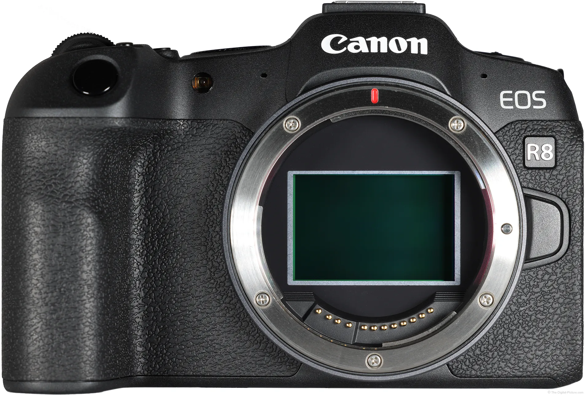 Canon EOS R8 II Disebut Segera Meluncur, Taruhan Retro AE-1 Bisa Ubah Arah Desain EOS R