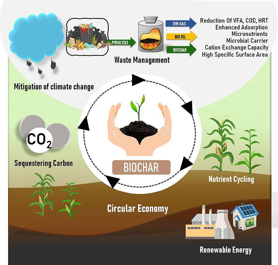 Eco Power Siapkan Rp420 Miliar, Taruhan Besar Limbah Sawit Menjadi Biochar