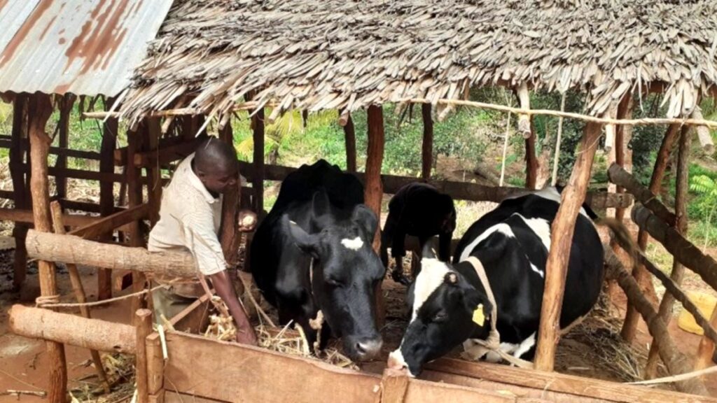 7 Ide Ternak Bareng Tetangga Di Desa, Modal Tipis Bisa Jadi Penghasilan Rutin