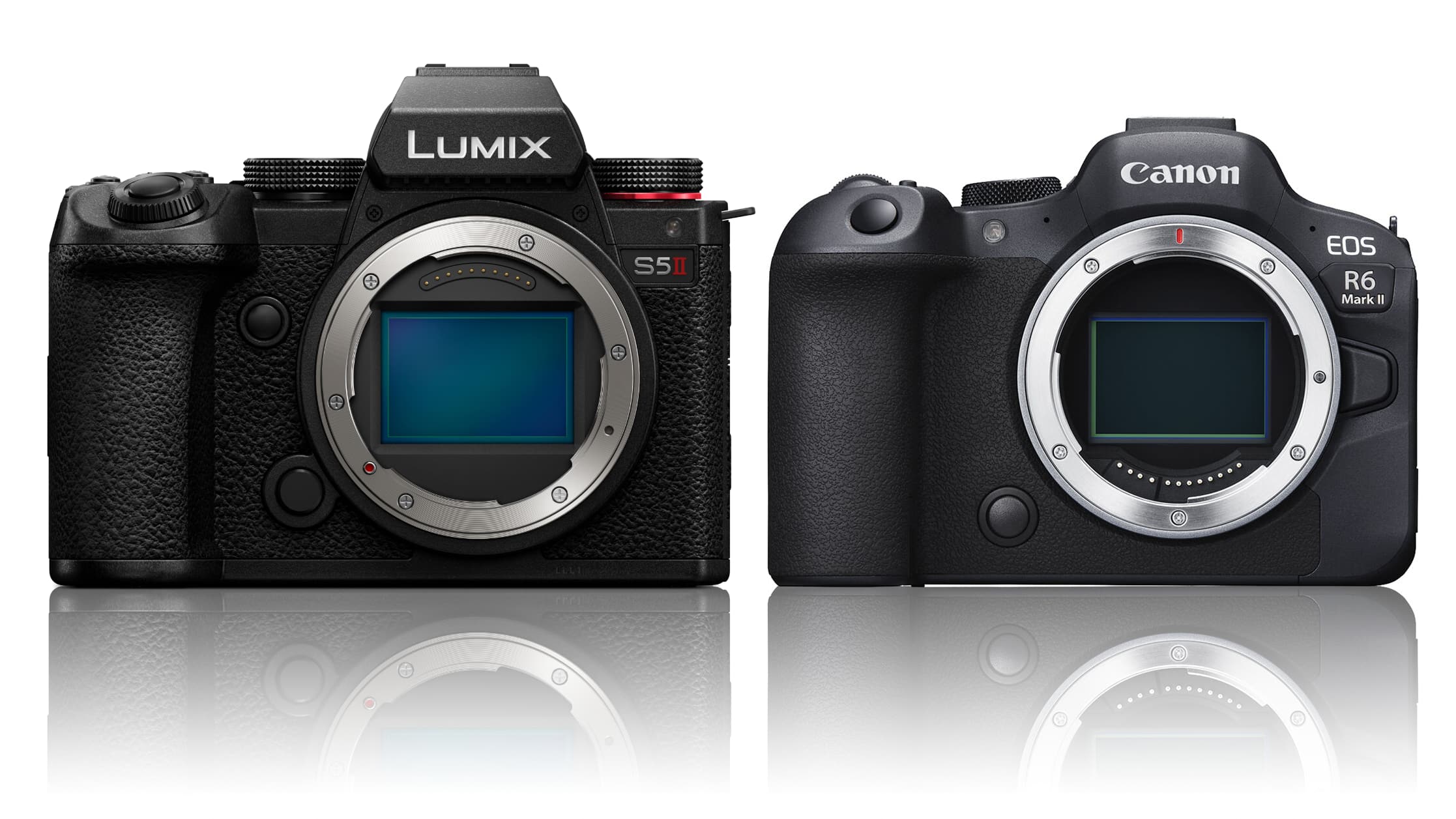 Canon EOS R6 V Siap Mengguncang Kelas Hybrid, Bodi Ringkas Ini Incar Sony dan Panasonic
