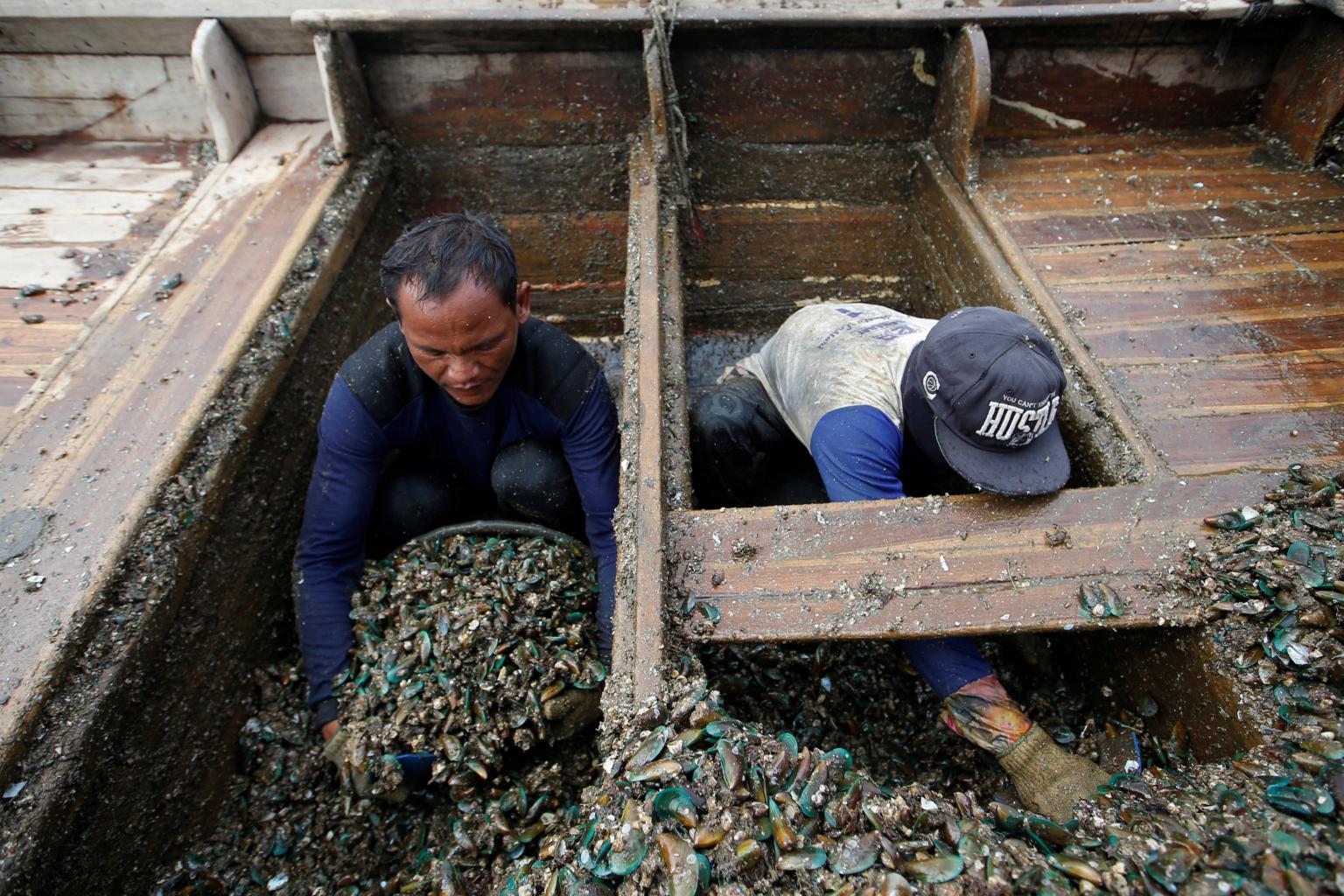 BRIN Temukan Logam Berat Di Teluk Jakarta, Kerang Dan Kepiting Kini Perlu Lebih Cermat