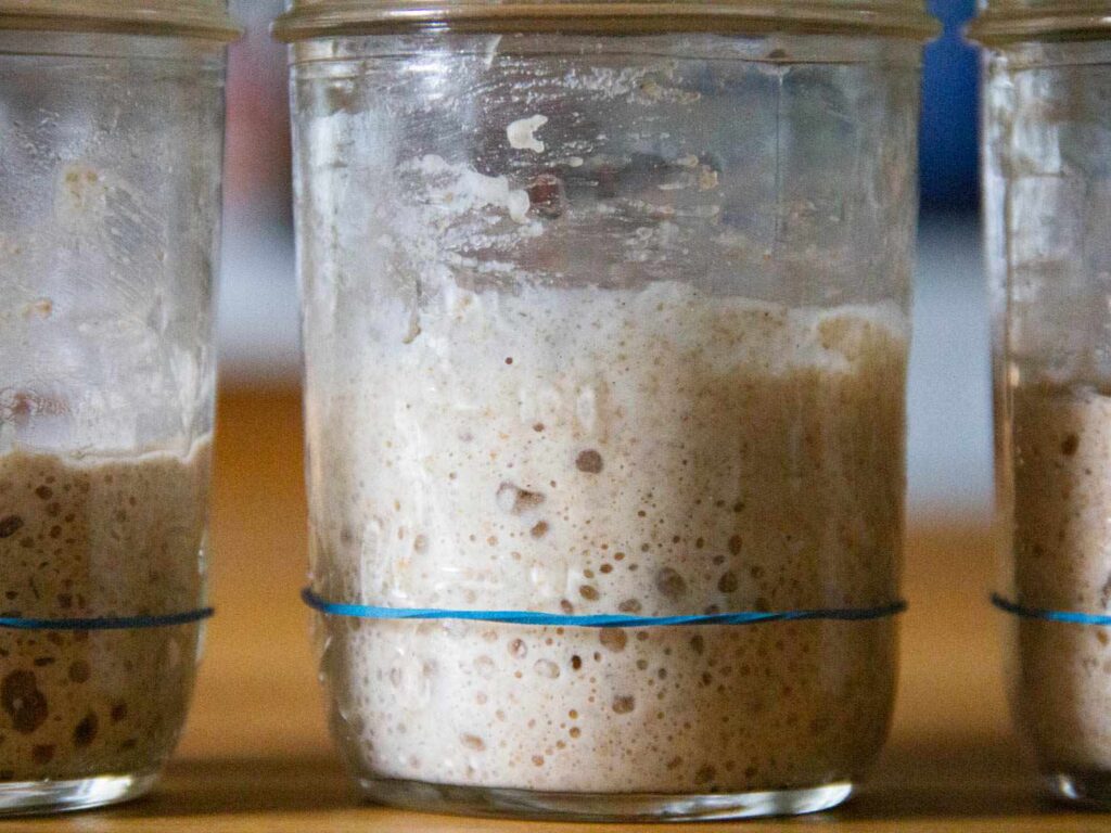 Roti Sourdough Terasa Lebih Ringan Di Perut, Rahasianya Ada Di Fermentasi Panjang