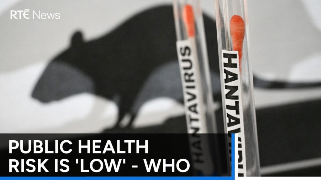 Tak Menular Antar-Manusia, Hantavirus Bisa Mematikan Hanya dari Kontak Tikus