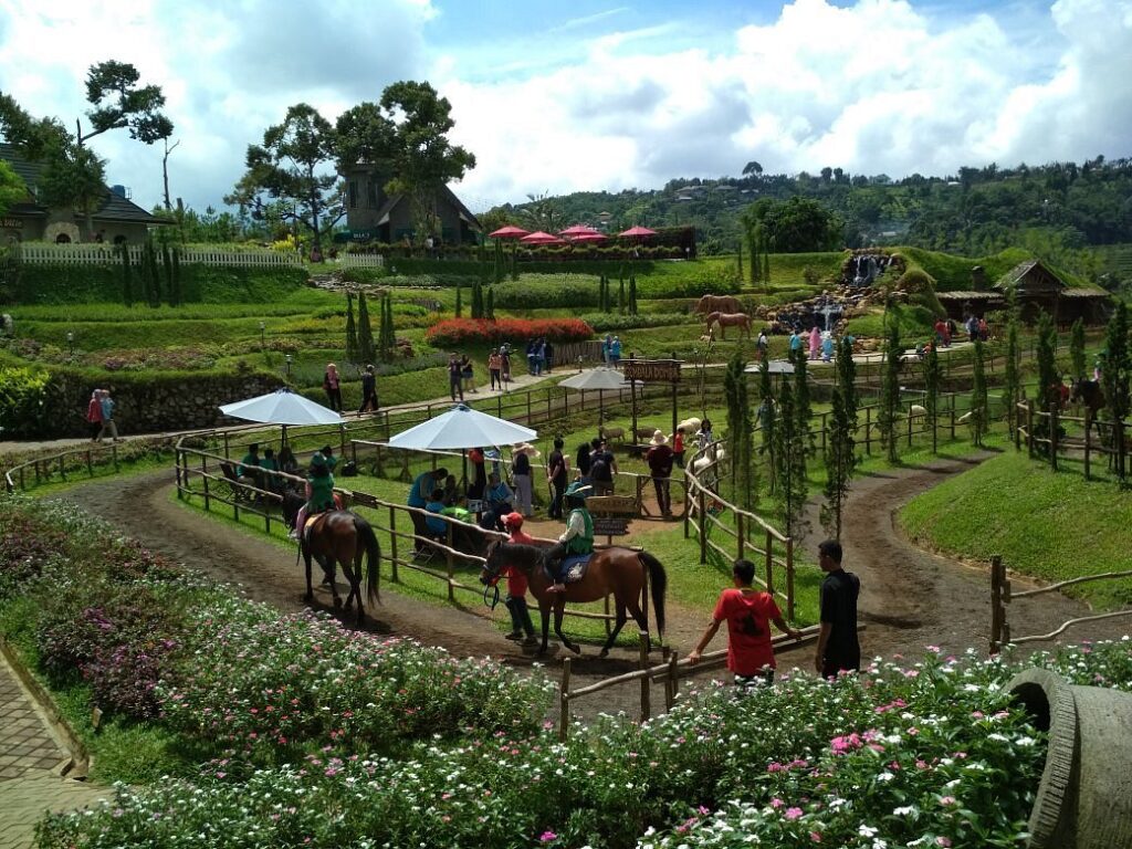 Libur Sekolah di Puncak Tak Harus Mahal, Anak Bisa Main ke Peternakan dan Nonton Animal Show