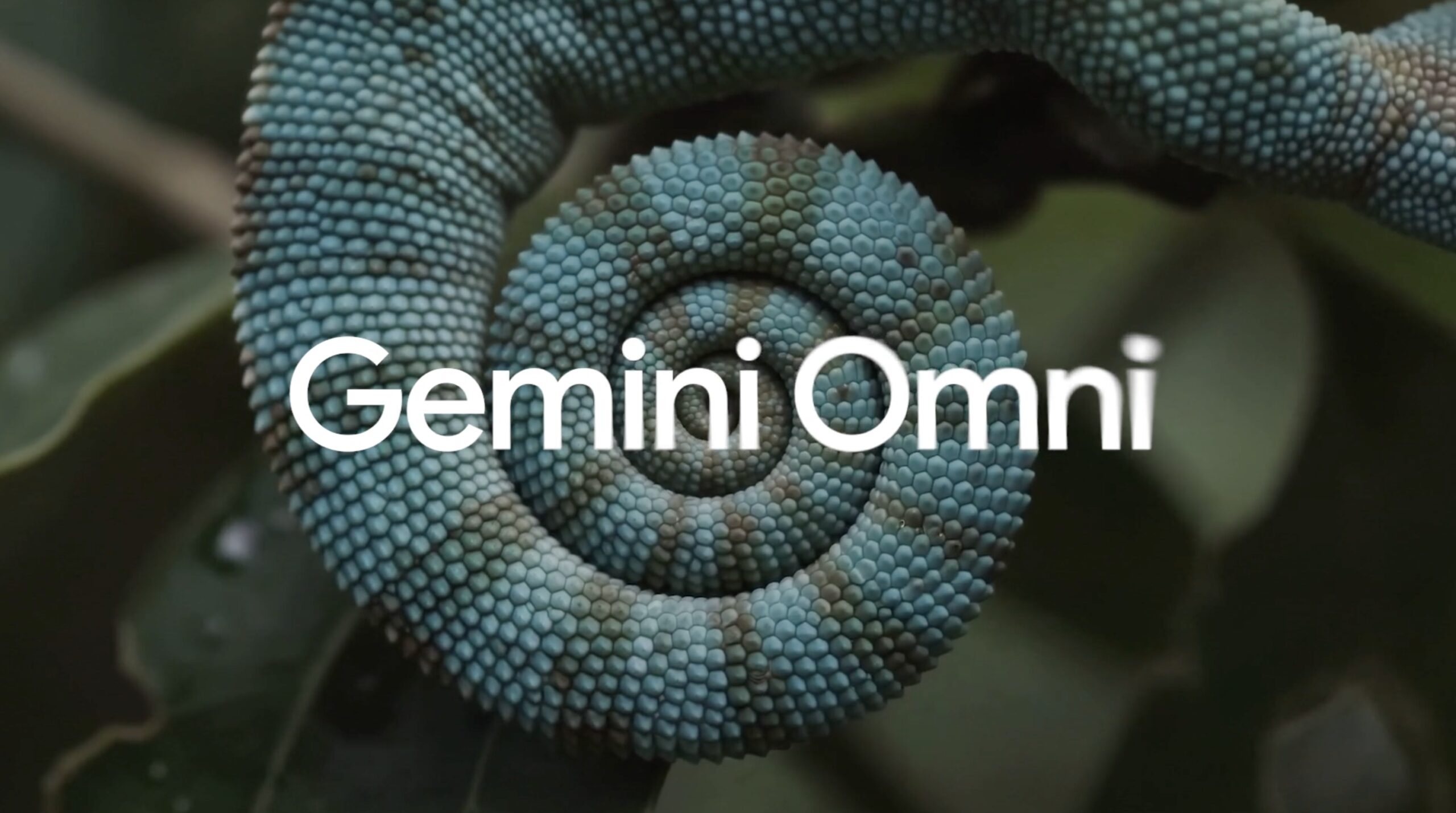 Gemini Omni Ubah Rekaman Asli Jadi Adegan Surealis, Realitas Makin Kabur