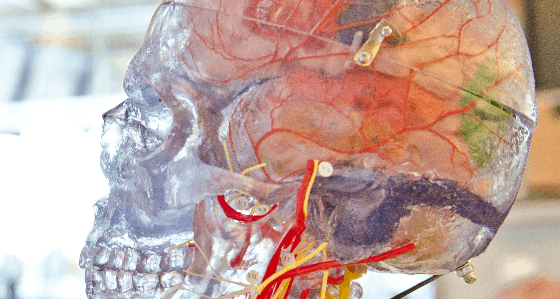 Pikiran Terhubung Ke Mesin Hingga Organ Dicetak 3D, Teknologi Ini Makin Nyata