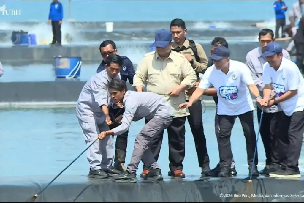 Prabowo Turun Ke Tambak Kebumen, Udang Rp2,8 Miliar Per Hektare Diburu Devisa