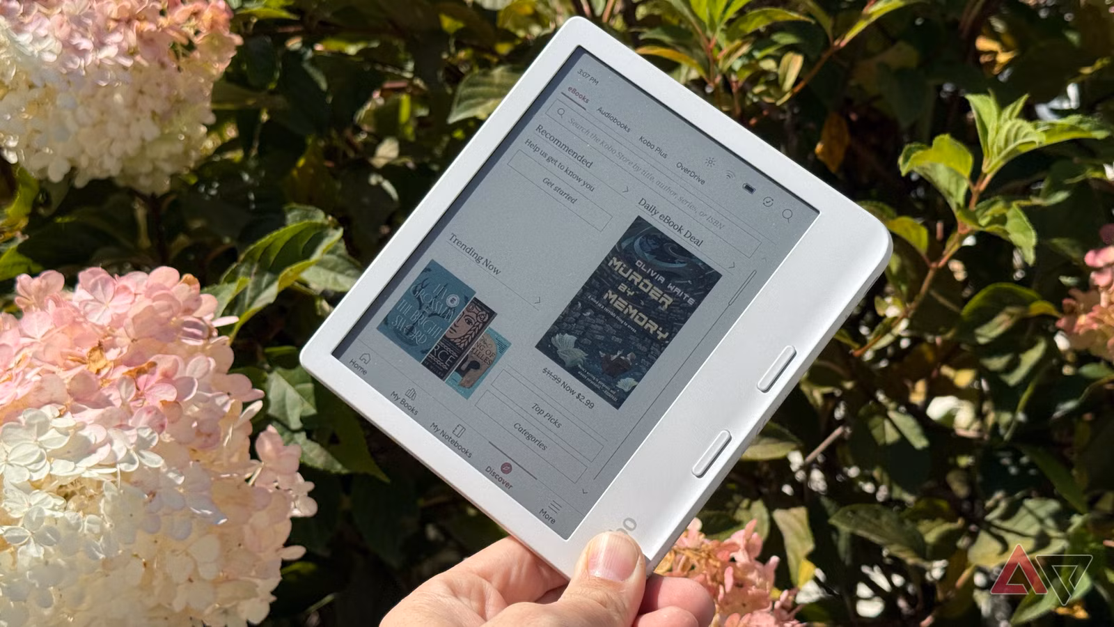 Kobo Naikkan Harga E-Reader Lama, Saat Pengguna Kindle Mulai Melirik Pindah Jadi Makin Ragu
