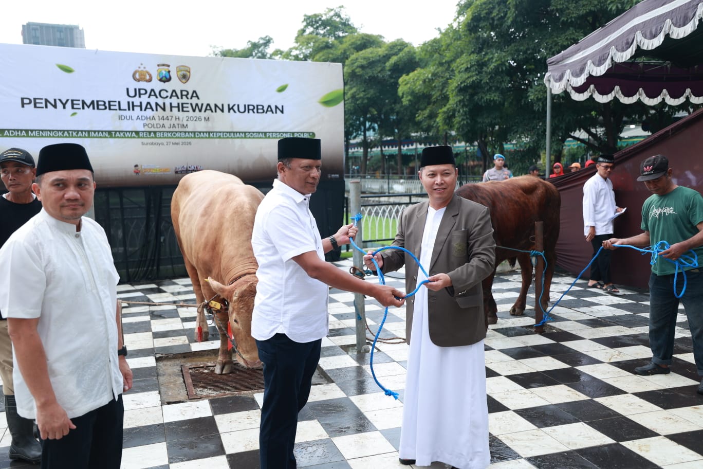Polda Jatim Salurkan 127 Sapi Dan 22 Kambing, Kurban Iduladha 2026 Menjangkau Pesantren Dan Masjid