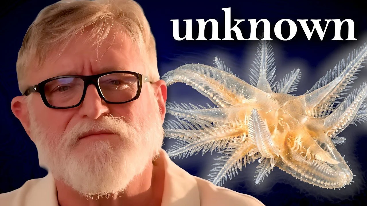 Misi Laut Dalam Gabe Newell Bongkar Spesies Tak Terklasifikasi, Sampah Manusia Pun Sampai 7.500 Meter