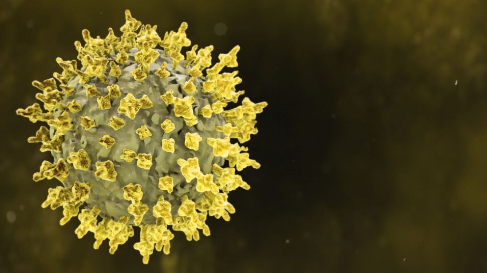 Ebola Kembali Mengancam, Kemenkes Perketat Bandara Dan Pelabuhan Selevel Awal Covid-19