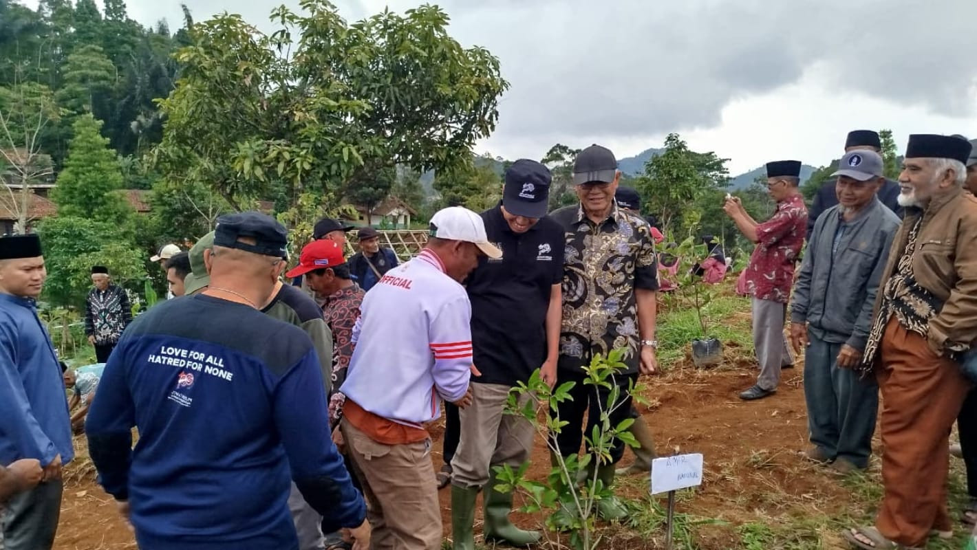 24 Ribu Pohon Kopi Ditanam Di Jabar, JAI Dorong Hijau Dan Ekonomi Warga