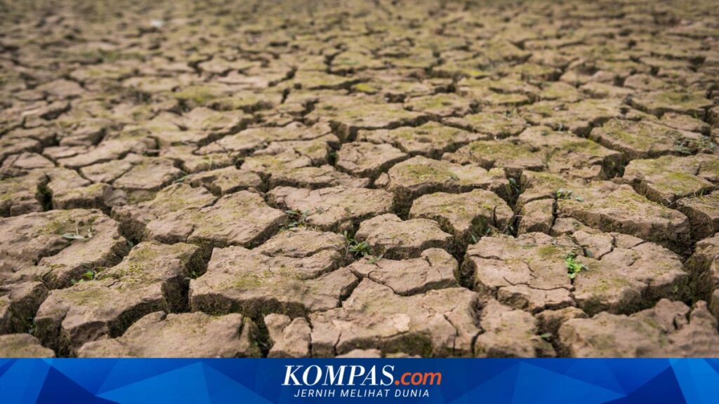 11 Wilayah Jateng Masuk Kemarau Awal Juni 2026, Dari Purbalingga Hingga Kebumen Jadi Siaga