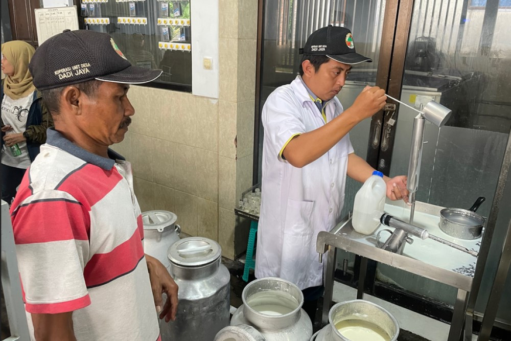 Jatim Gandeng Swasta Impor Sapi Perah, Defisit Susu 600 Ton Per Hari Belum Terkejar