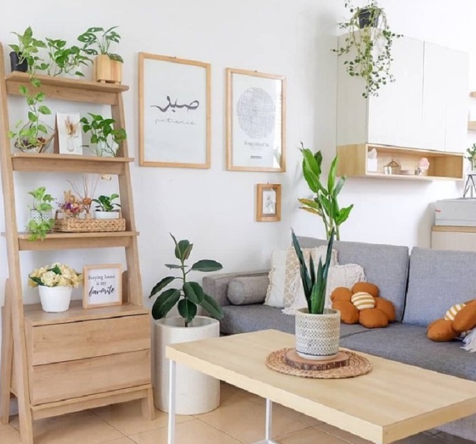 5 Tanaman Indoor yang Diam-Diam Redam Bau Tak Sedap, Rumah Terasa Lebih Segar