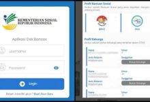 Cek Desil Bansos Lewat HP, Status Penerima Kini Bisa Dilihat Pakai NIK
