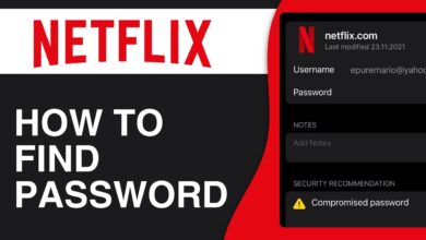 Netflix Mulai Paksa Email Sendiri Tiap Profil, Akun Bersama Bisa Makin Ribet
