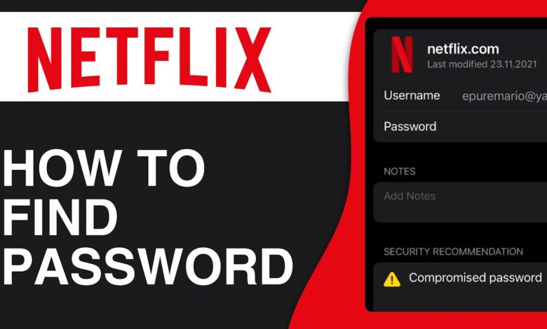 Netflix Mulai Paksa Email Sendiri Tiap Profil, Akun Bersama Bisa Makin Ribet