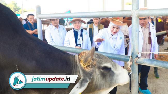 BBIB Singosari Dinilai Jadi Aset Strategis, Semen Wagyu dan Belgian Blue Jadi Andalan Baru