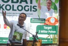 SRUK Siap Dibuka 9 Juli, Jalan Baru Perdagangan Karbon yang Bernilai Besar