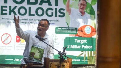 SRUK Siap Dibuka 9 Juli, Jalan Baru Perdagangan Karbon yang Bernilai Besar