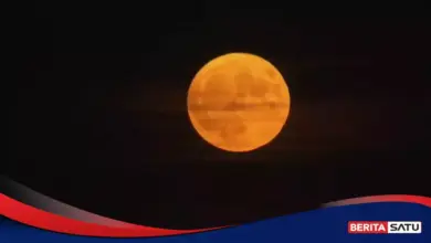 Strawberry Moon Masih Terlihat Malam Ini, Purnama Terang Ini Ternyata Micromoon