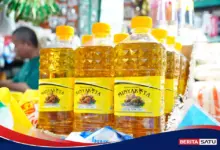 Minyakita Masih Belum Naik, Pemerintah Cari Titik Tahan di Tengah Kenaikan CPO