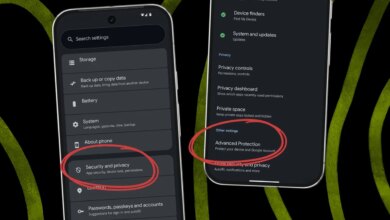Advanced Protection Android Bisa Kunci Opsi Pengembang, Keamanan Naik tapi Kontrol Turun