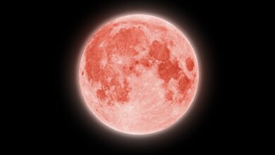 Strawberry Moon Juni 2026 Muncul Pagi Buta, Malam Sebelumnya Masih Bisa Dinikmati