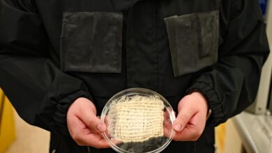 Jaket Aneh Ini Bisa Menyedot Air Minum dari Udara, Hampir Jadi Solusi Nyata