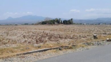 83 ZOM Masuk Puncak Kemarau Juli 2026, Ini Daerah yang Lebih Dulu Kering