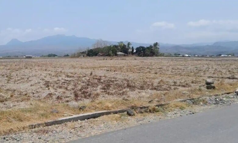 83 ZOM Masuk Puncak Kemarau Juli 2026, Ini Daerah yang Lebih Dulu Kering