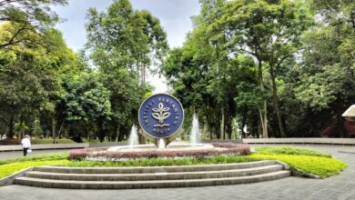 6 Kampus Bisnis dan Manajemen Terbaik 2026, BINUS Melonjak Sejajar UI dan UGM