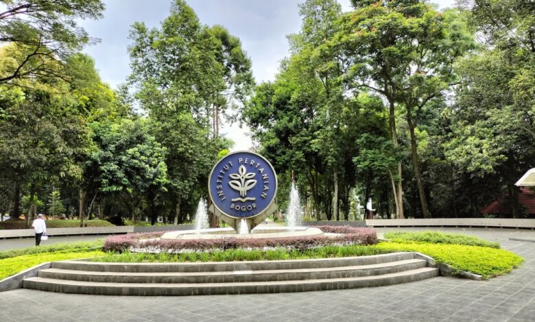 6 Kampus Bisnis dan Manajemen Terbaik 2026, BINUS Melonjak Sejajar UI dan UGM