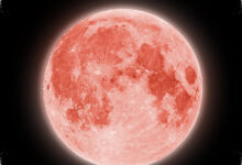 Strawberry Moon 30 Juni 2026 Bisa Dilihat Sepanjang Malam, Ini Waktu Terbaiknya