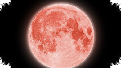 Strawberry Moon 30 Juni 2026 Bisa Dilihat Sepanjang Malam, Ini Waktu Terbaiknya
