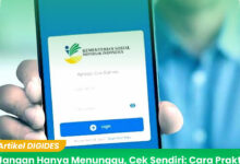 Portal Perlinsos Digital Dibuka Uji Coba, Bansos Kini Bisa Diajukan Mandiri Online