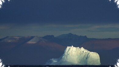 Greenland Mencair Lebih Cepat, Laut Dalam Arktik Ikut Berubah