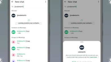 WhatsApp Punya Username, Cara Baru Chat Tanpa Sebar Nomor yang Patut Dicoba