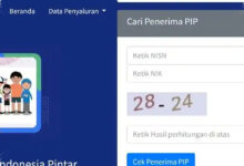 Cek PIP Lewat HP Kini Langsung Tampil, Status Cair atau Belum Bisa Terlihat di SIPINTAR