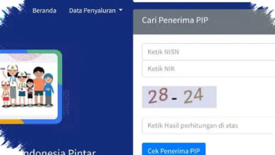 Cek PIP Lewat HP Kini Langsung Tampil, Status Cair atau Belum Bisa Terlihat di SIPINTAR