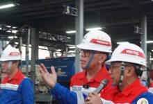 Pertamina Siapkan SAF dan B50 dari Jawa Timur, Jalur Energi Hijau Mulai Bergerak