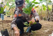 Naik Pangkat Bareng Tanam 10.380 Pohon, Cara Polda Jateng Ubah Penghargaan Jadi Kepedulian