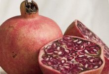 7 Buah Penjaga Kulit Sehat, dari Pepaya sampai Delima Kaya Antioksidan