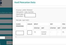 Kemensos Majukan Pembaruan DTSEN, Penyaluran PKH dan BPNT Kini Lebih Dikejar Waktu