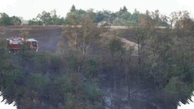 Prancis Dikepung Api, 700 Hektare Lahan Hangus dan Ribuan Warga Dievakuasi