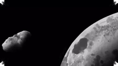 Tianwen-2 Hampir Menyentuh Kamo‘oalewa, Misteri Bulan Semu yang Bisa Ungkap Asal Bulan