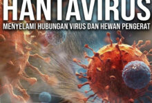 WHO Akhiri Wabah Hantavirus di MV Hondius, Tak Ada Kasus Baru Lagi