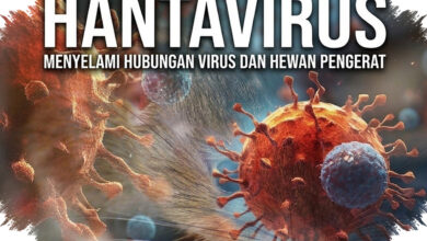 WHO Akhiri Wabah Hantavirus di MV Hondius, Tak Ada Kasus Baru Lagi